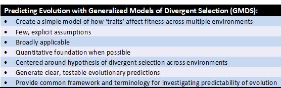 Generalized Models of Divergent Selection